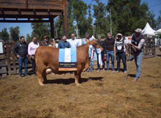 Cabaña El Porvenir se consagra en la ExpoBra 2026 con el Gran Campeón Hembra
